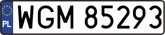 WGM85293