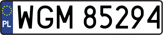 WGM85294