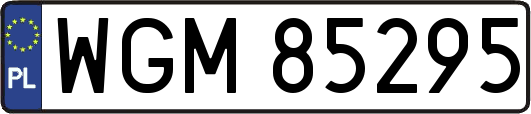 WGM85295