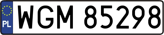 WGM85298