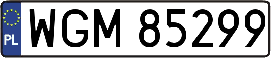 WGM85299
