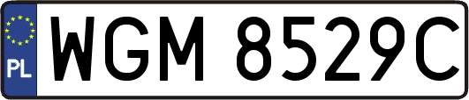 WGM8529C