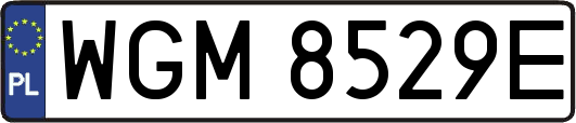 WGM8529E