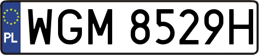 WGM8529H