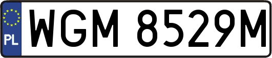 WGM8529M