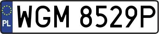 WGM8529P