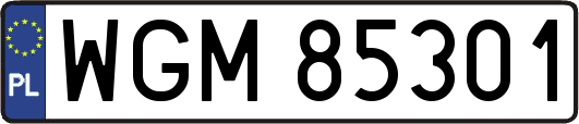 WGM85301