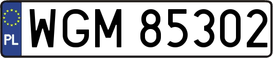 WGM85302