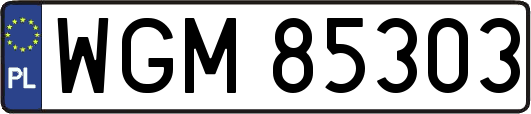 WGM85303