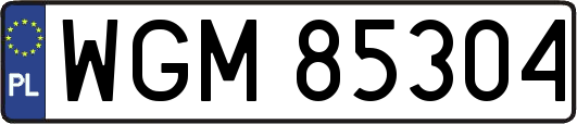 WGM85304