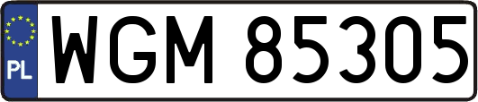 WGM85305