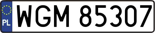 WGM85307