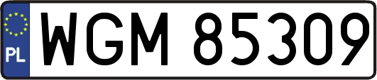 WGM85309
