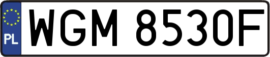 WGM8530F