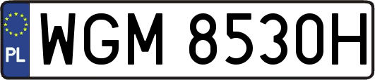 WGM8530H