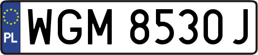 WGM8530J