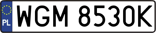 WGM8530K