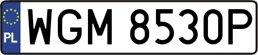 WGM8530P