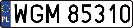 WGM85310