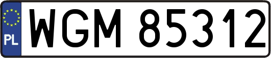 WGM85312