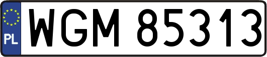 WGM85313