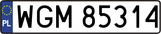 WGM85314