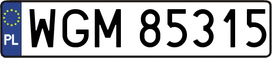 WGM85315