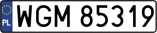WGM85319
