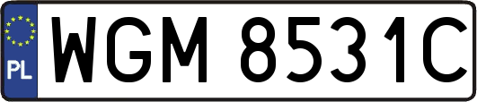 WGM8531C
