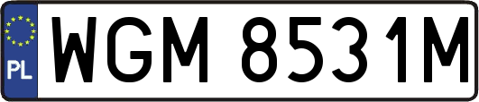 WGM8531M