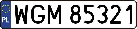 WGM85321