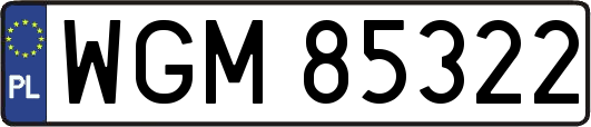 WGM85322