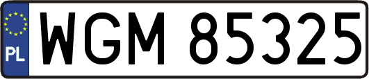 WGM85325