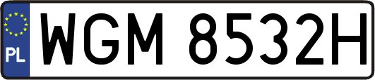 WGM8532H