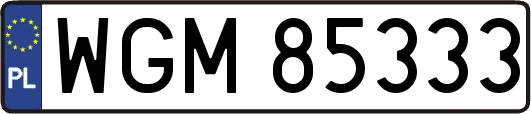 WGM85333