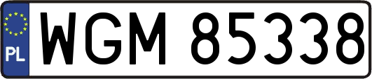 WGM85338