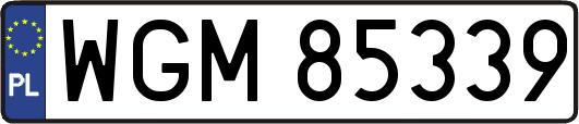 WGM85339