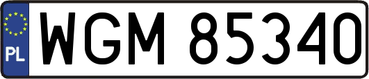 WGM85340