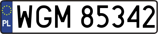 WGM85342