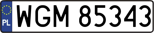 WGM85343