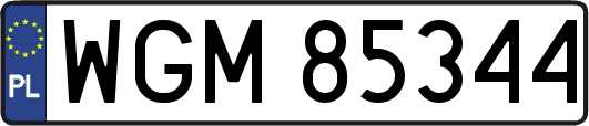 WGM85344