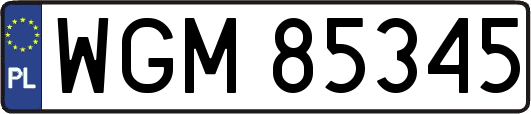WGM85345