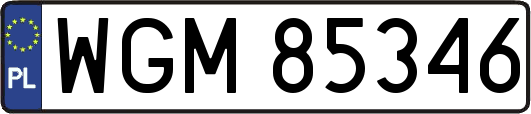 WGM85346