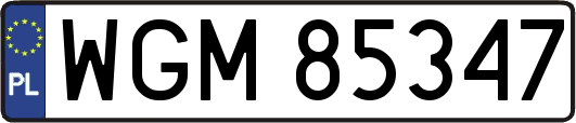 WGM85347