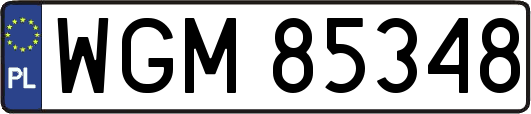 WGM85348
