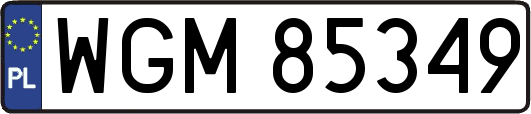 WGM85349