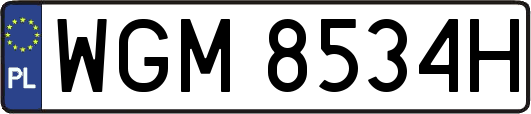 WGM8534H