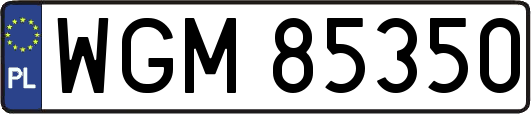 WGM85350