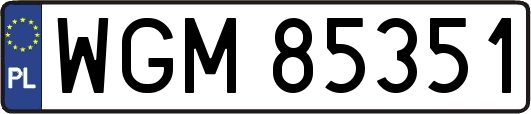 WGM85351