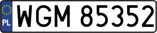 WGM85352